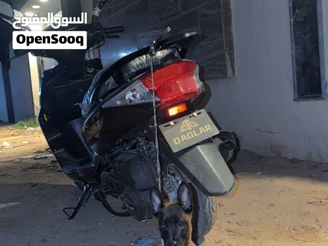 مينوا العمر شهرين انثئ