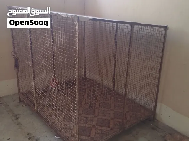 قفص أموره طيبه للبيع