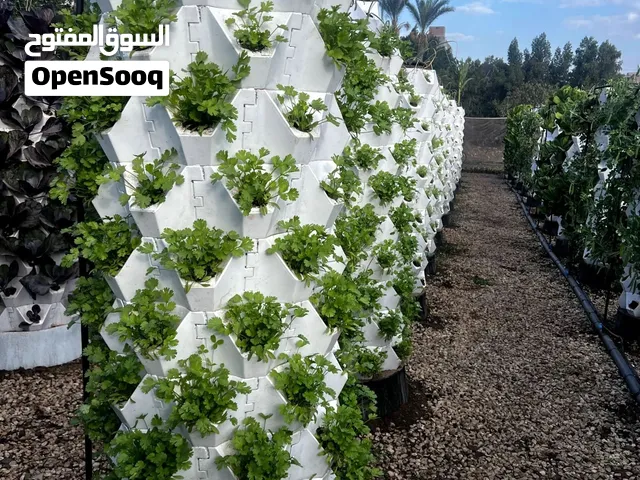أبراج زراعية عمودية