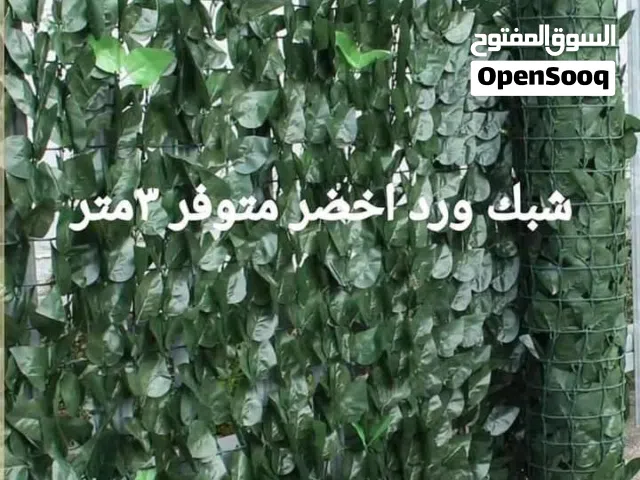 رول ورق شجر اخضر كثيف