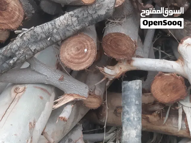 حطب مواقد ناشف زيتون وأشجار مثمره مقطع قطع صغيره وقطع كبيره  للفنون والمناظر والتحف بسعر مناسب