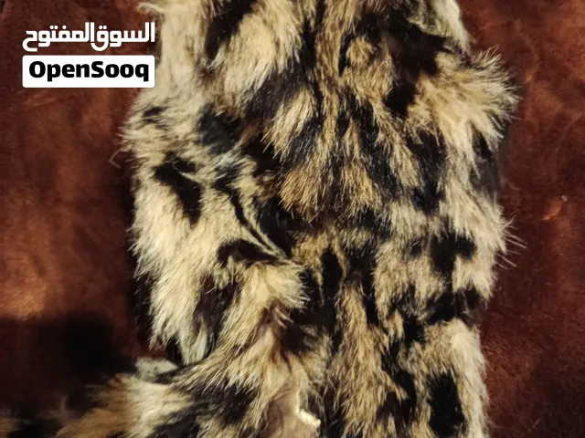 تحف ديكورات من أجمل التحف عالمياً