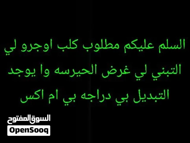 مني عنده كلب لي التبني أو التبديل أقرا الوصف