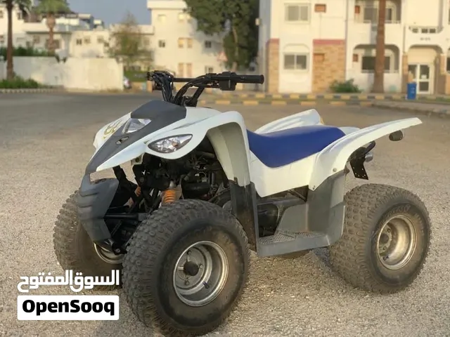 Adly ATV-100V RS Taiwanese Quad bike