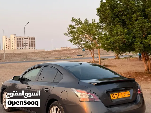 البيع أمورها طيبه