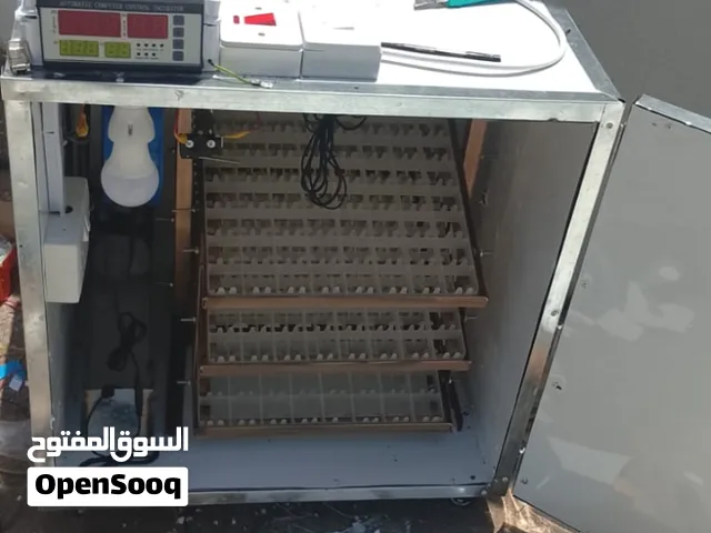 تصنيع محلي للفقاسات