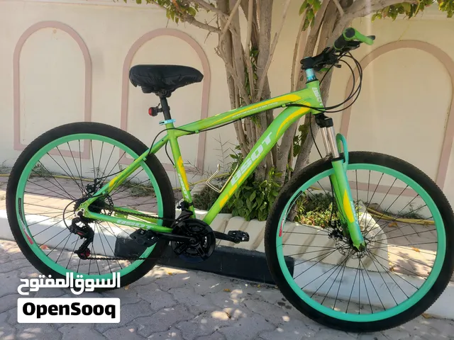 aluminum cycle 29inch