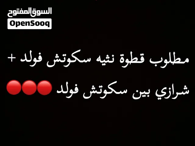 ابي اتبنى قطوه نثيه