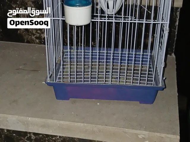 اقفاص ببغاء و عصافير حب