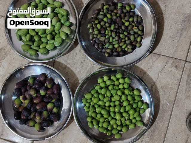 زيتون مشكل للبيع
