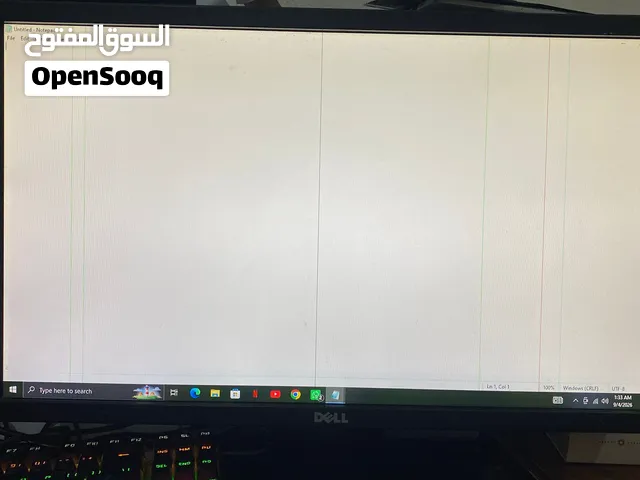 Dell MONITOR 24 inch