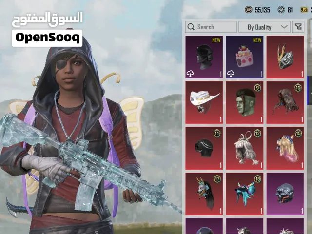 Pubg Accounts and Characters for Sale in Sharjah