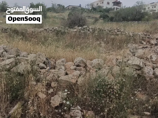 أرض للبيع في كفر صور