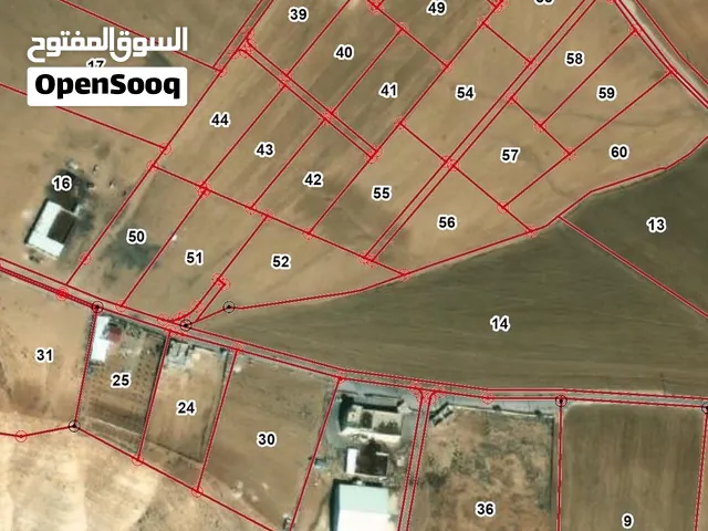 4 دونمات بعراعر