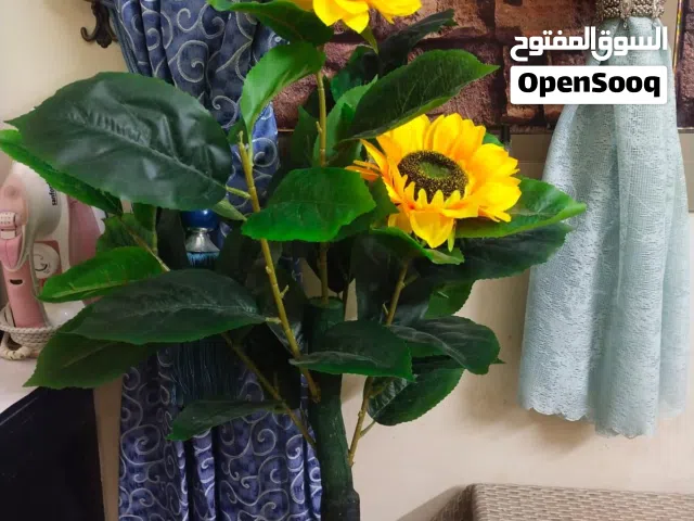 flower pot for sale