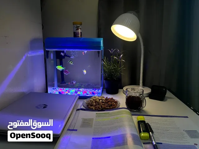Fish tank with fishes+IKEA table+good quality lamp