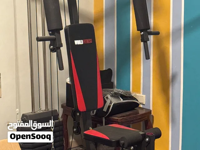 Home gym 12 exercise machine