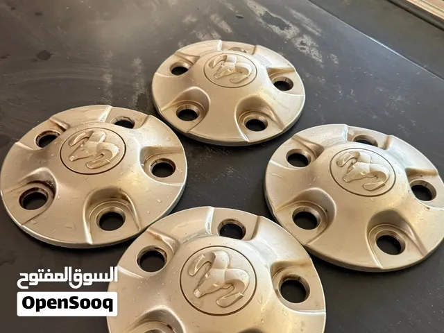طاسات رنجات بيكاب دودج رام