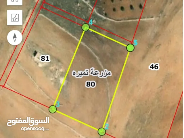 Farm Land for Sale in Irbid An-Nuayyimah