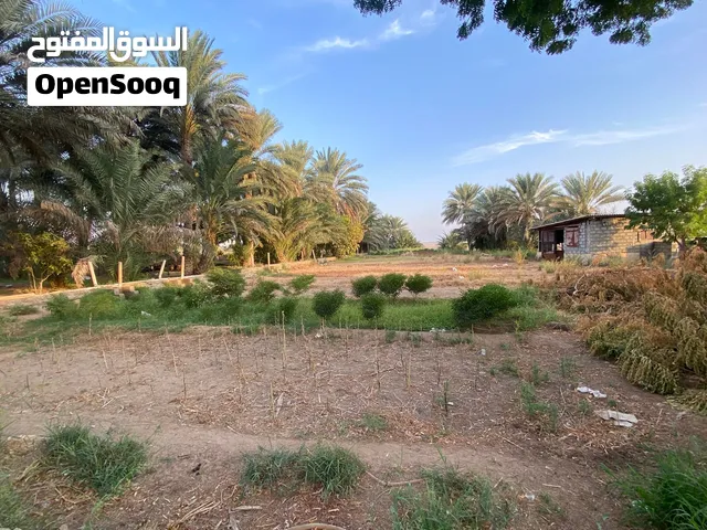 مزرعه للأستثمار الشهري