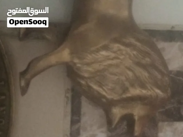 نحاس اسد وتنين قطع مكتوب عليهم بل اجنبي نحاس اصلي