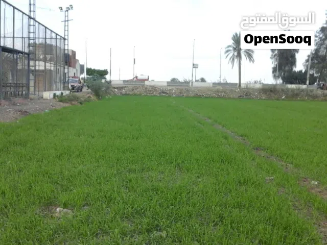 قطعة ارض 17 قيراط ابوحماد محافظة الشرقية.      قطعة أرض 17 قيراط علي طريق الزقازيق/ ابوحماد الرئيسي.