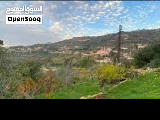 Land for sale in daqqoun 1972 sqm.