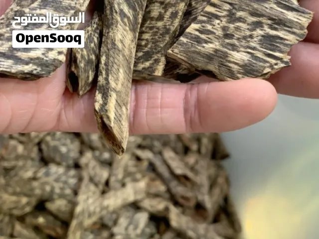 بيع وتصفية بالجملة بخور كمبودي طبيعي مستزرع