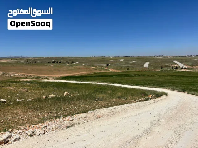 قطعة تبعد عن جسر المطار 2 كم مساحة 1700 متر تنظيم سكن أخضر واصل جميع الخدمات بسعر مغري