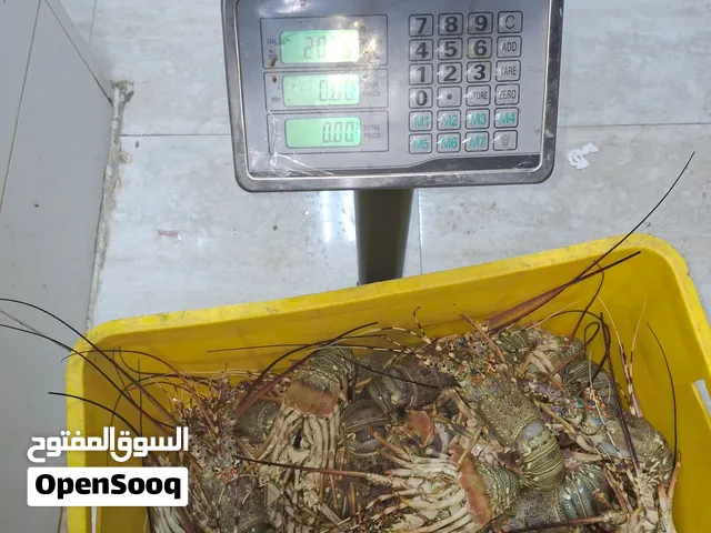 بيع منتجات السيفود والاسماك قبقب شارخه حبار كلماري محار