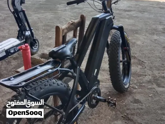 fat tyre ebike 1000watt