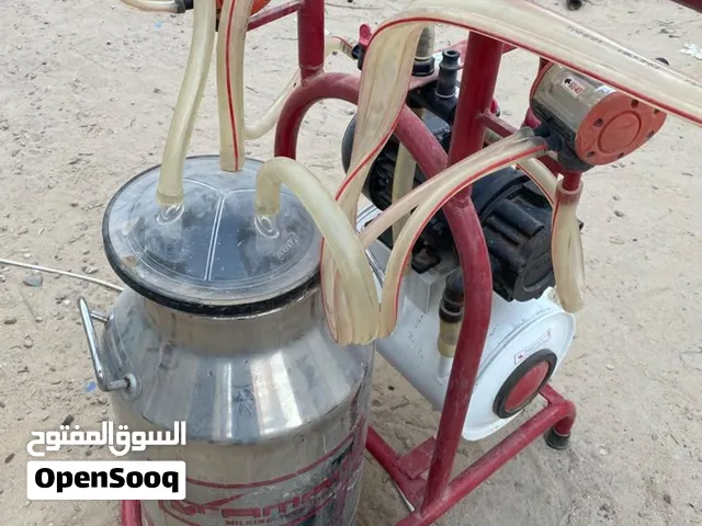 حلبة البقر إيطاليه استعمال نضيف