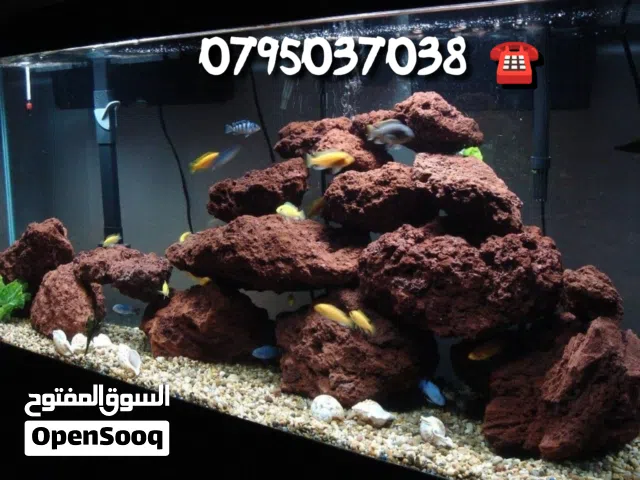 كوارتز رمل سيلكا حجر بركاني بازلت كسر رخام تجهيز احواض سمك دراجون مخرم صخور وارضيات احواض السمك