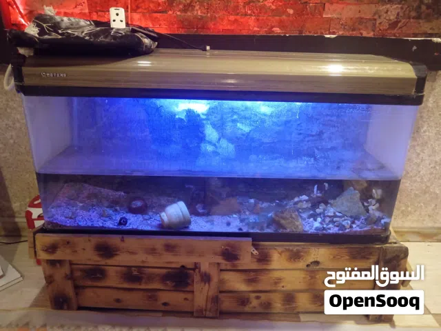 للبيع حوض سمج زجاج بحالة جيدة، جاهز للاستخدام.