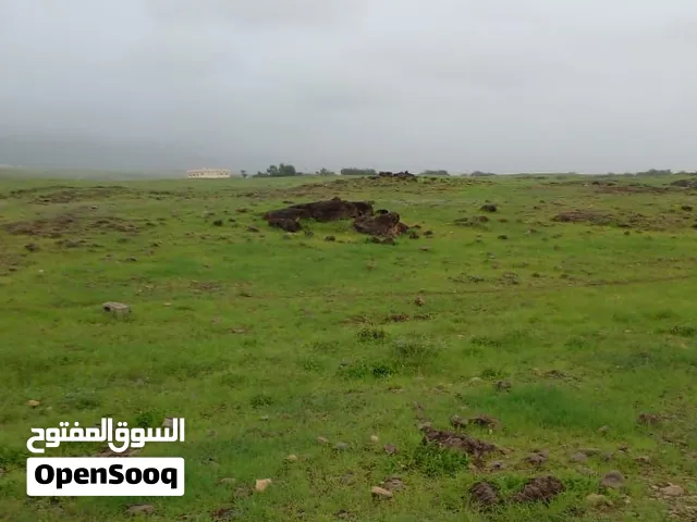 ارض سكنية ولاية طاقة خلف مركز الشرطة مكان مرتفع وجميل واجهة 14 متر ممتازه لعمل فيلا واجهة بحرية