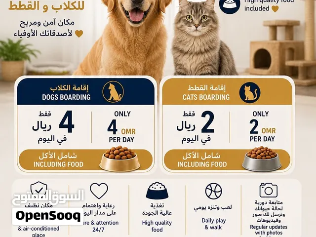 يتوفر لدينا فندق الكلاب /Then we have a hotel boarding service