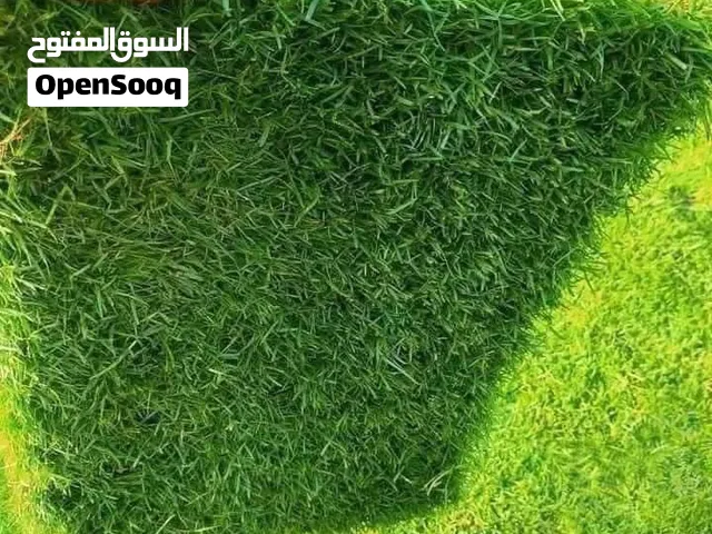 بسم الله الرحمن الرحيم  (ان ربك يبسط الرزق لمن يشاء ويقدر ) صدق الله العظيم