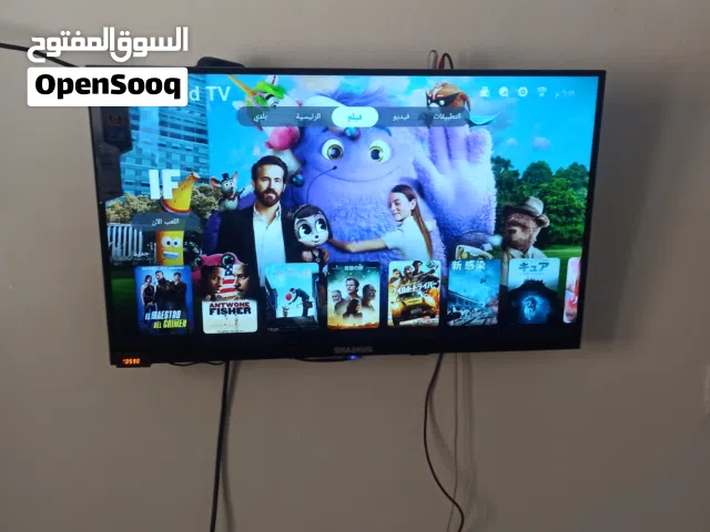 شاشت تلفزيون