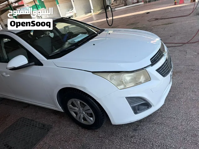 شفر كروز 2014