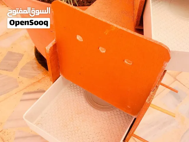 حضانات للعصافير من الحجم الكبير