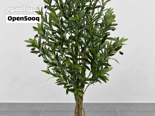 شجرة زيتون اصطناعية