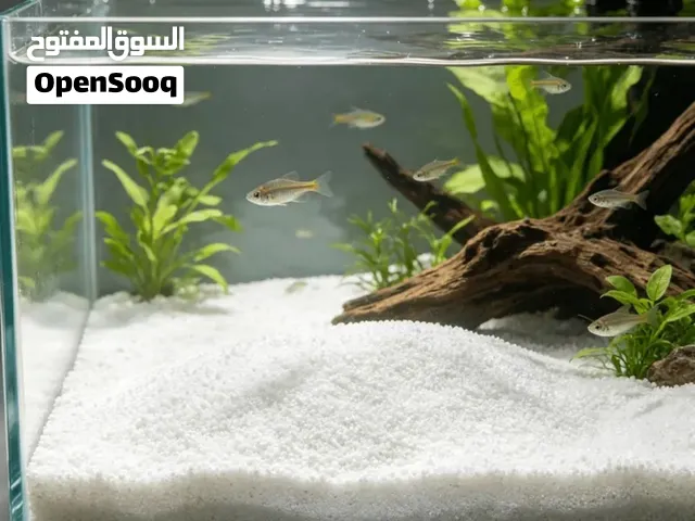 مطلوب رمل أبيض ناعم فرش لارضية حوض أسماك الزينه