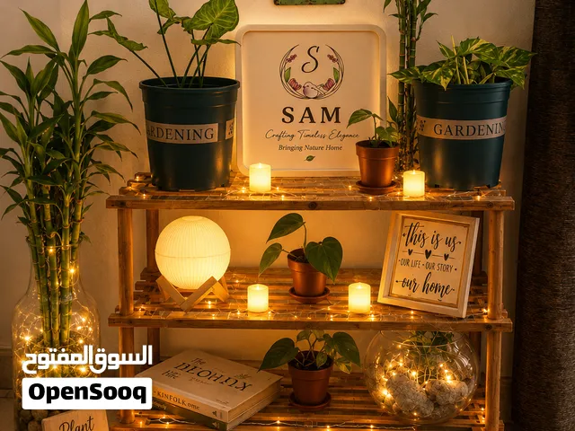 cozy plant corner with plants n accessories whole setup inclyding wooden rack lighst n shown showpie