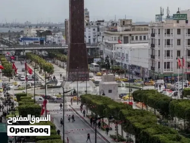 شقة مفروشة ايجار شهريتونس العاصمة