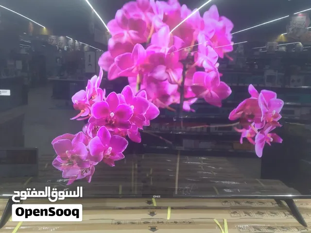 65-Inch QLED Display