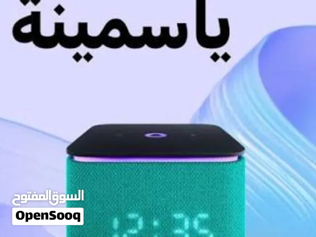 ياسمينة ميدي