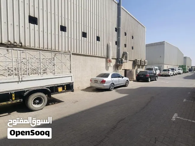 استور للايجار