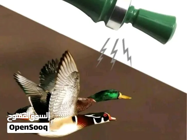 صفارة بصوت البطة