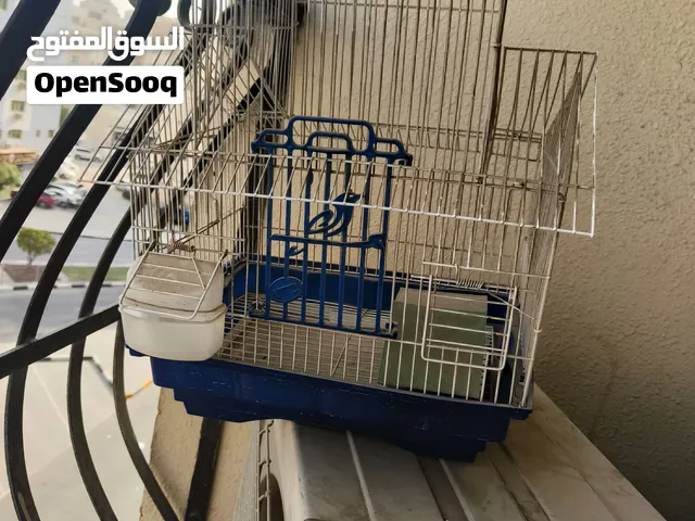قصص عصفور جديد بس في عليه قبره