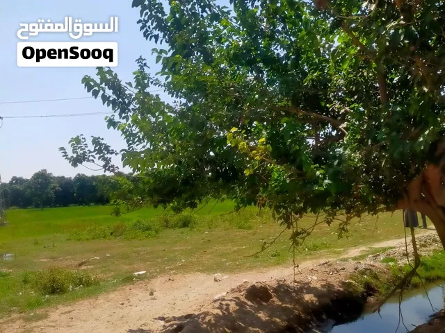 اراض زراعيه